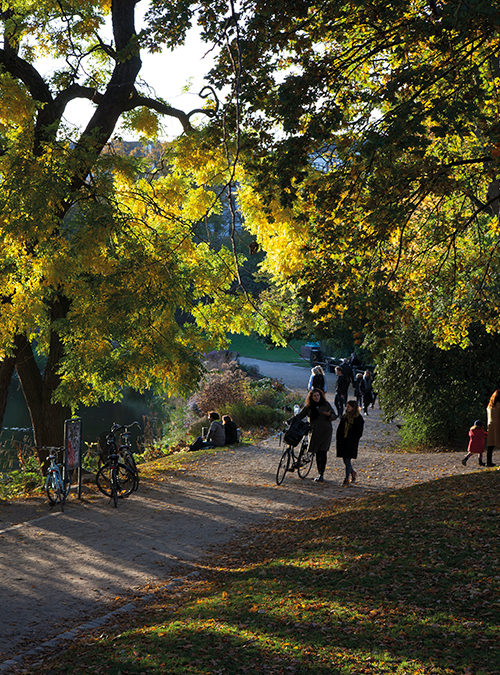 Ørsted Park