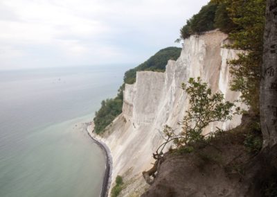 Møns klint
